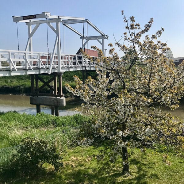 Hogendiekbrücke: Eine alte Zugbrücke nach holländischem Vorbild im Alten Land.