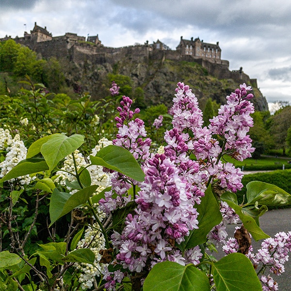 Motorradtour Schottland, Blick auf das Edinburgh Castle