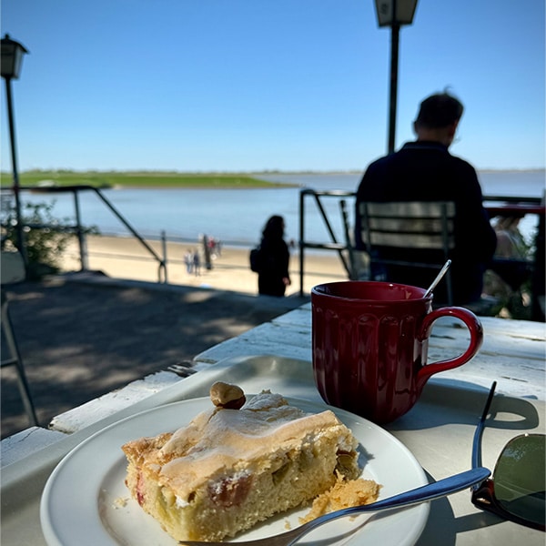Rhabarberkuchen