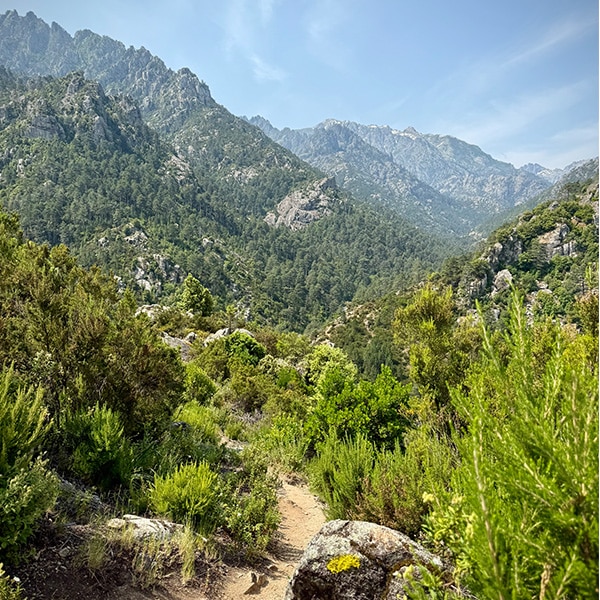 Wanderpfad im Restonica-Tal