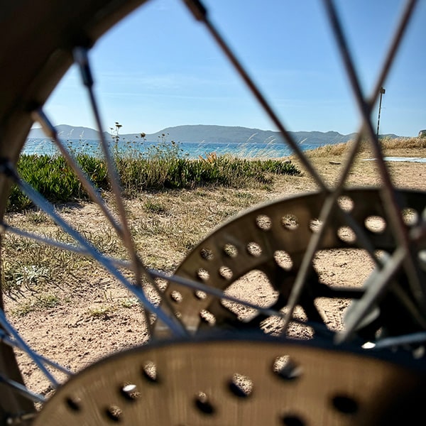 Meine Tiger stand schon an vielen Küsten