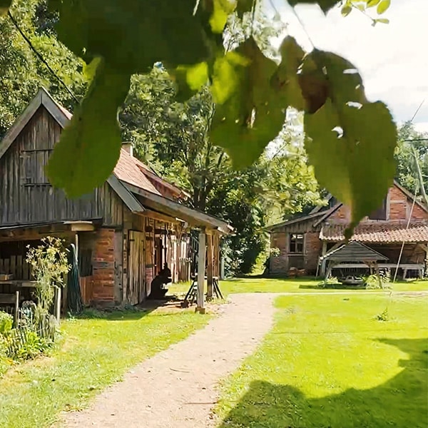 Historische Hofgebäude im Rundlingsmuseum Lübeln