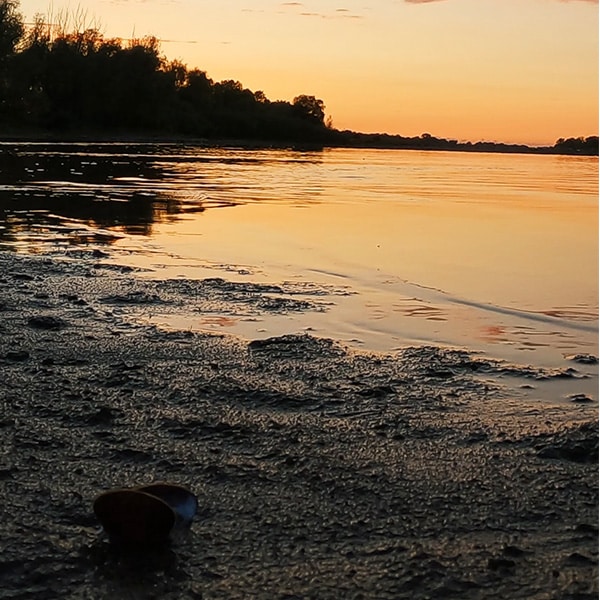 Abendstimmung an der Elbe