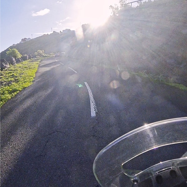 Der Sonne entgegen